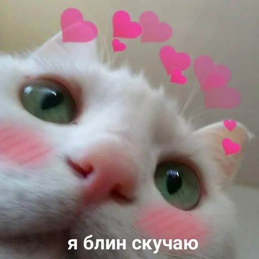 🩹 Стикер «♡︎» для Telegram