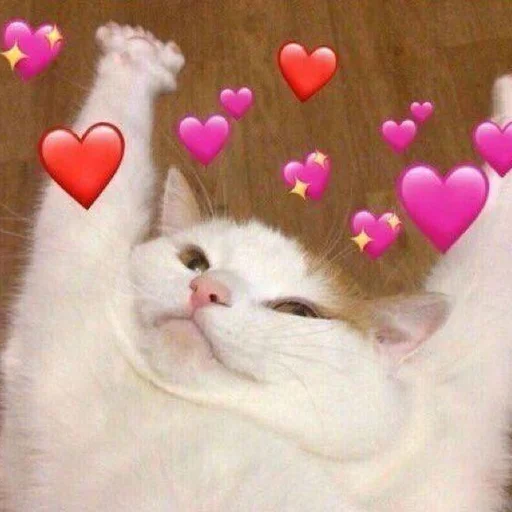 🩹 Стикер «♡︎» для Telegram