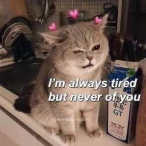 🩰 Стикер «♡︎» для Telegram