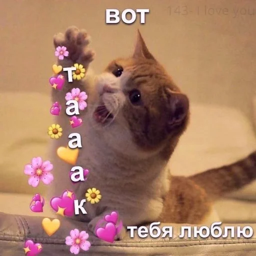 🩹 Стикер «♡︎» для Telegram