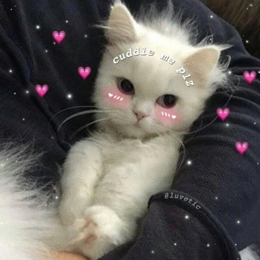 🩹 Стикер «♡︎» для Telegram