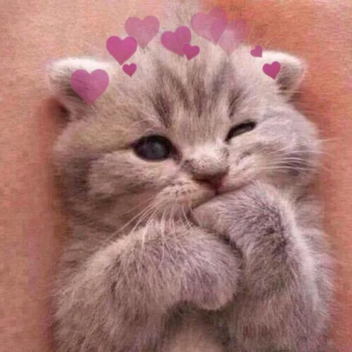 🩰 Стикер «♡︎» для Telegram