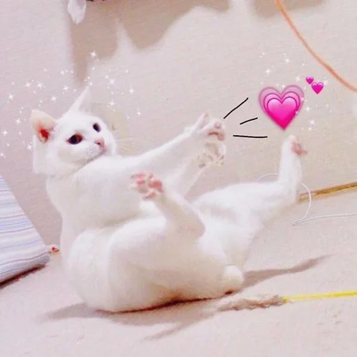 🩰 Стикер «♡︎» для Telegram
