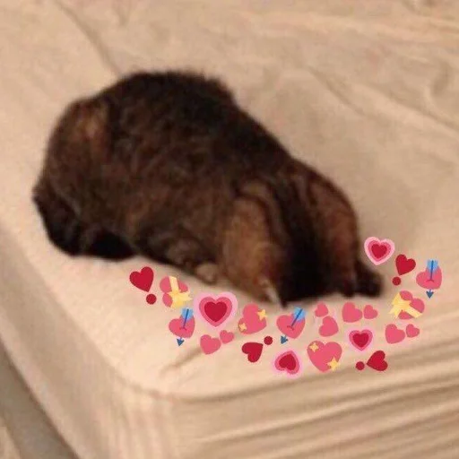 🩰 Стикер «♡︎» для Telegram