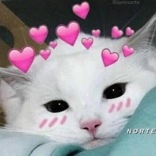 🩰 Стикер «♡︎» для Telegram