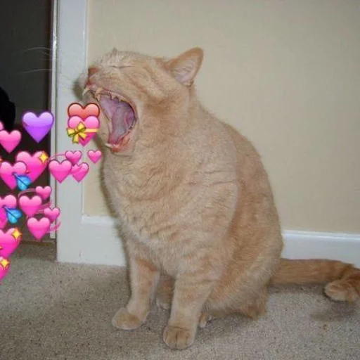 🩰 Стикер «♡︎» для Telegram