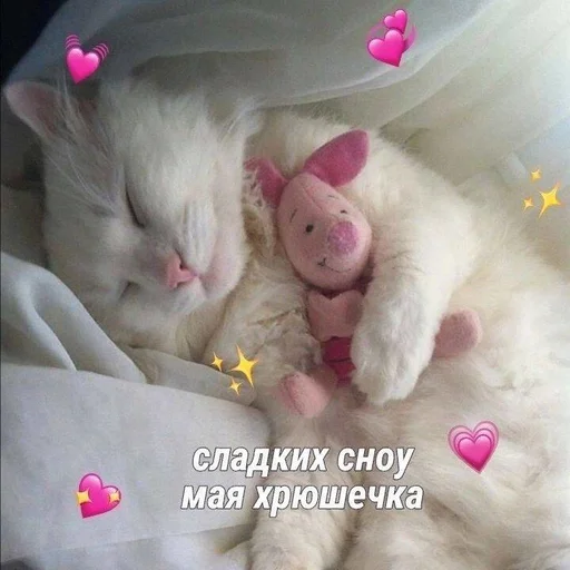 🩹 Стикер «♡︎» для Telegram