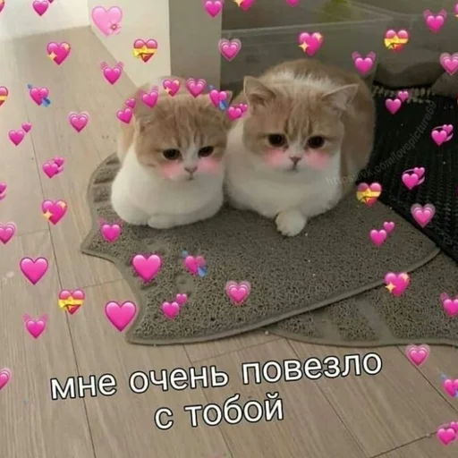 🩰 Стикер «♡︎» для Telegram