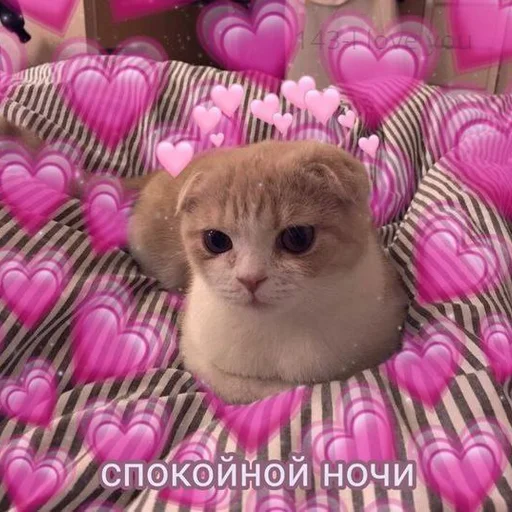 🩹 Стикер «♡︎» для Telegram
