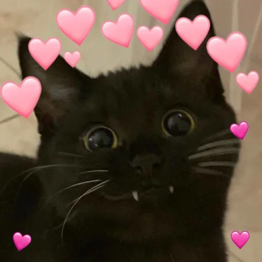 🩹 Стикер «♡︎» для Telegram