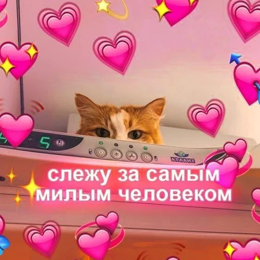 🩰 Стикер «♡︎» для Telegram