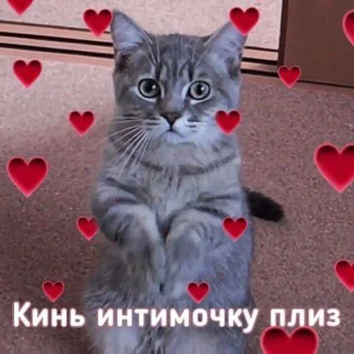 🩹 Стикер «♡︎» для Telegram