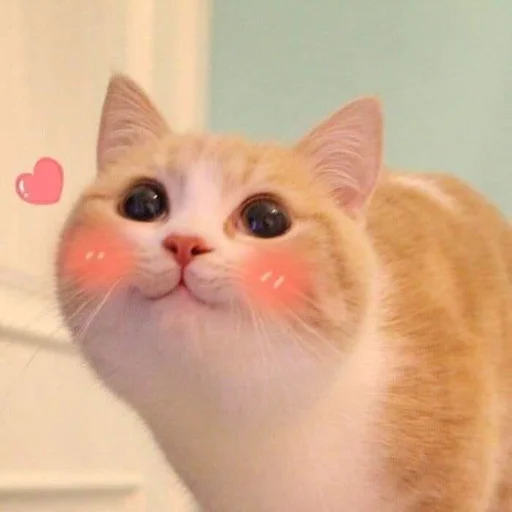 🩹 Стикер «♡︎» для Telegram