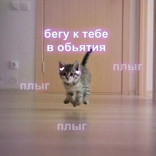 🩹 Стикер «♡︎» для Telegram