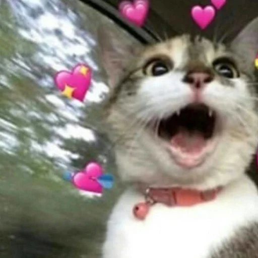 🩹 Стикер «♡︎» для Telegram