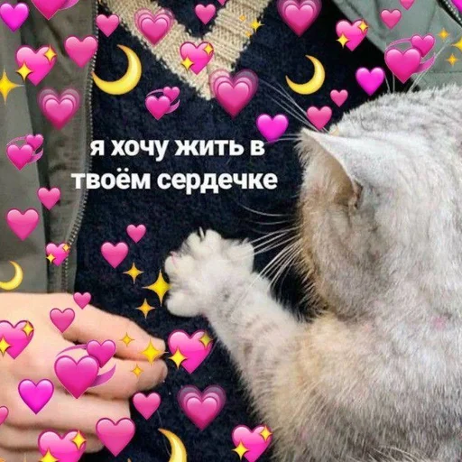 🩹 Стикер «♡︎» для Telegram