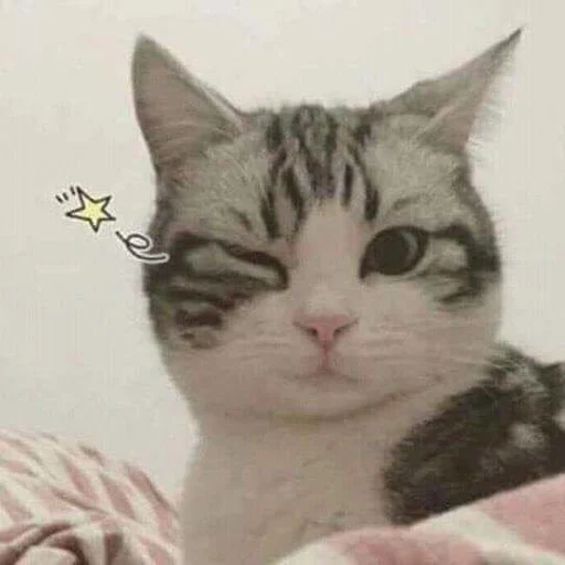 🩹 Стикер «♡︎» для Telegram