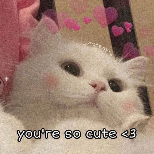 🩰 Стикер «♡︎» для Telegram