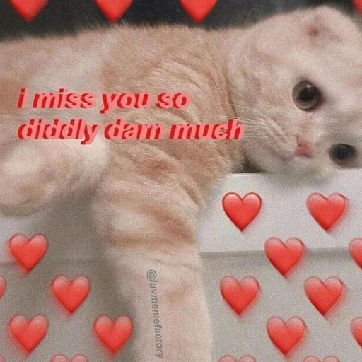 🩰 Стикер «♡︎» для Telegram