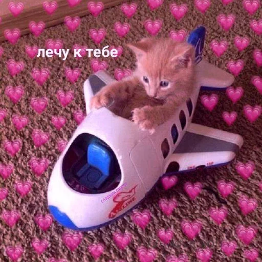 🩹 Стикер «♡︎» для Telegram