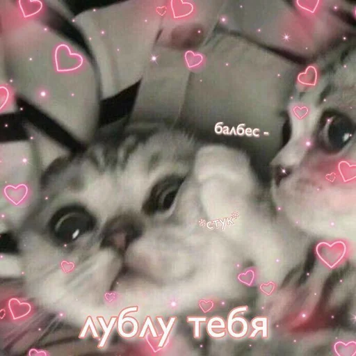 🩹 Стикер «♡︎» для Telegram
