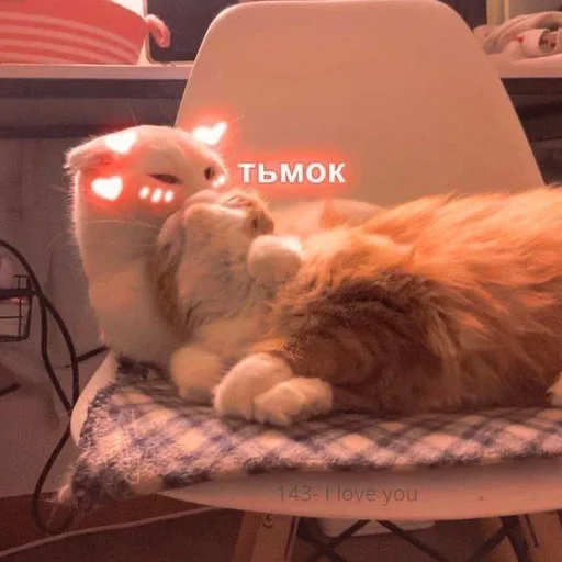 🩰 Стикер «♡︎» для Telegram