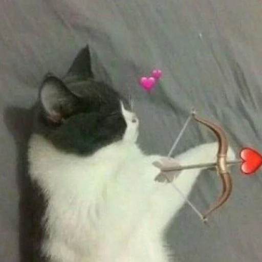 🩹 Стикер «♡︎» для Telegram