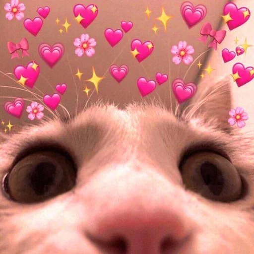 🩰 Стикер «♡︎» для Telegram