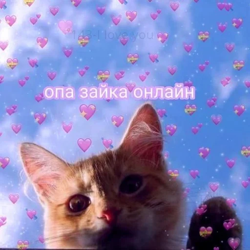 🩹 Стикер «♡︎» для Telegram