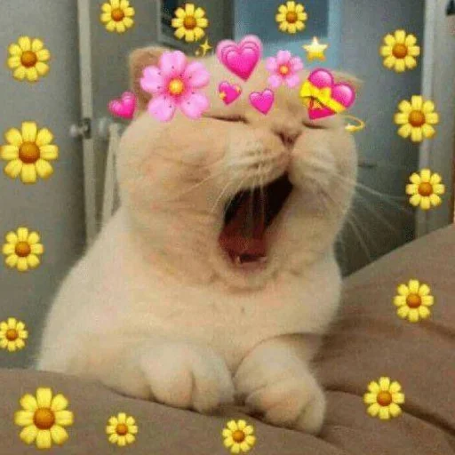 🩰 Стикер «♡︎» для Telegram