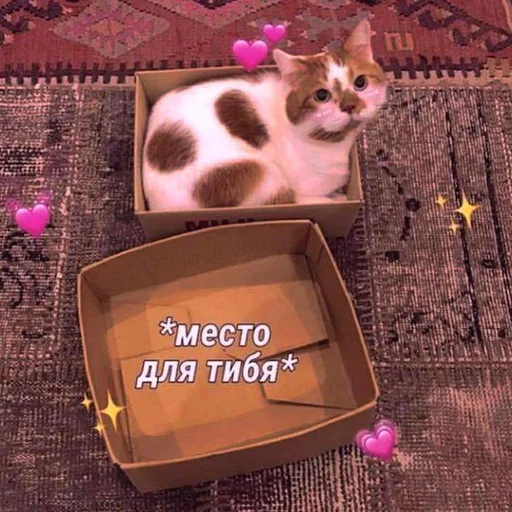 🩰 Стикер «♡︎» для Telegram