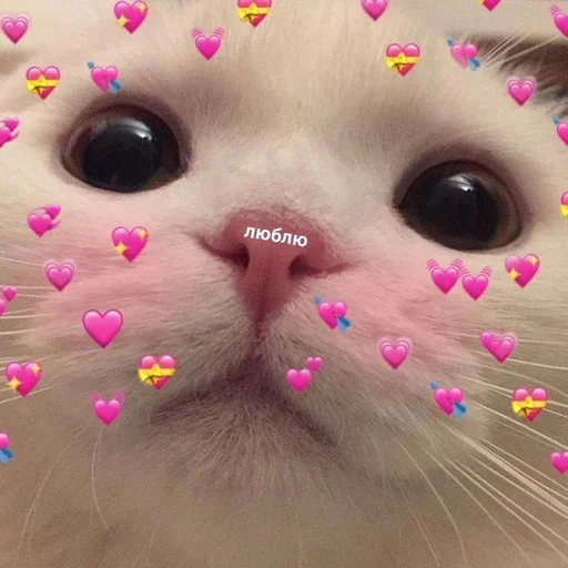 🩹 Стикер «♡︎» для Telegram