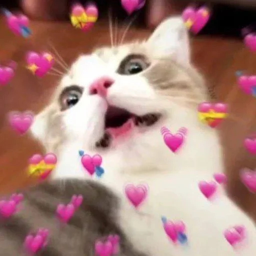 🩹 Стикер «♡︎» для Telegram