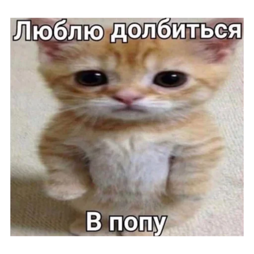 🤪 Стикер «Cute anime love» для Telegram