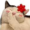 Стикер 6 Милота