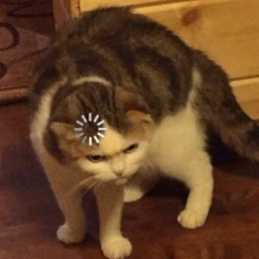 🤨 Стикер «Cuteness Overload» для Telegram