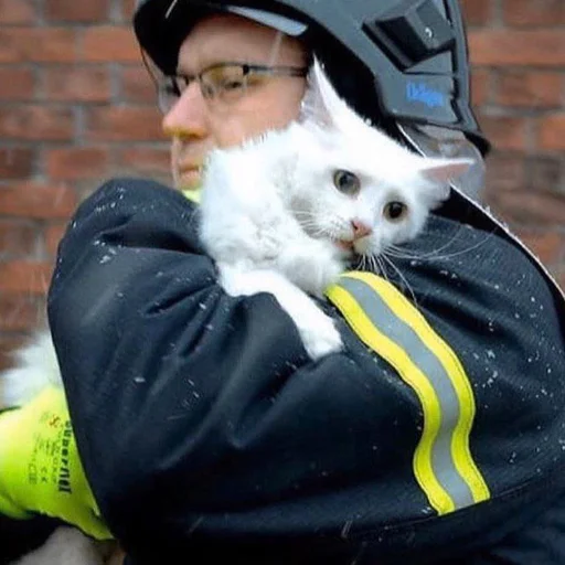 😳 Стикер «Cuteness Overload» для Telegram