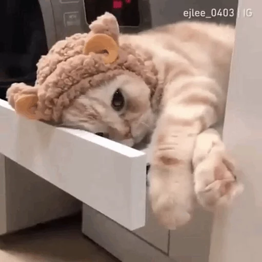 😪 Стикер «Cuteness Overload» для Telegram