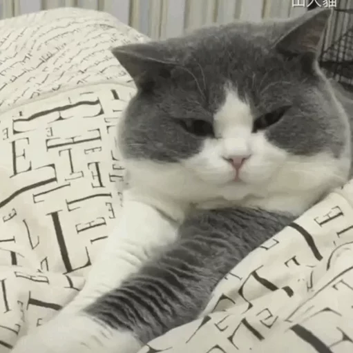 😑 Стикер «Cuteness Overload» для Telegram