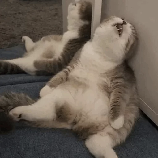 😴 Стикер «Cuteness Overload» для Telegram