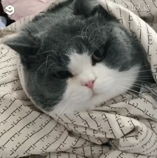 😒 Стикер «Cuteness Overload» для Telegram