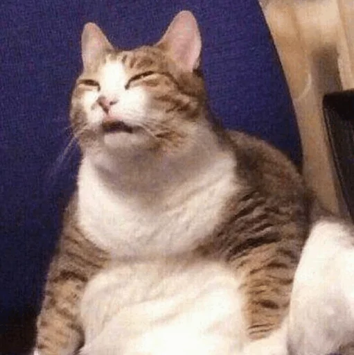 😶 Стикер «Cuteness Overload» для Telegram