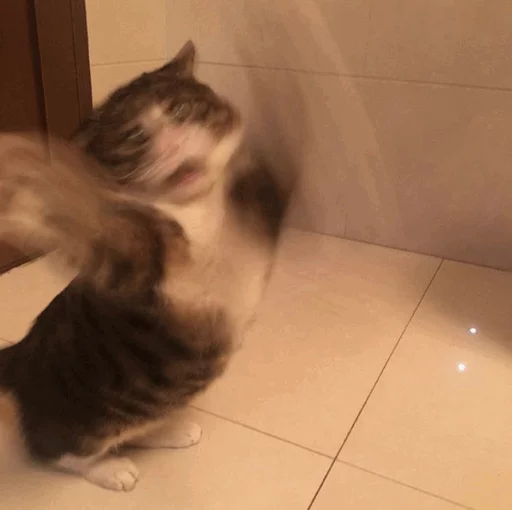 😱 Стикер «Cuteness Overload» для Telegram