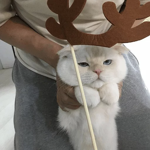 😐 Стикер «Cuteness Overload» для Telegram