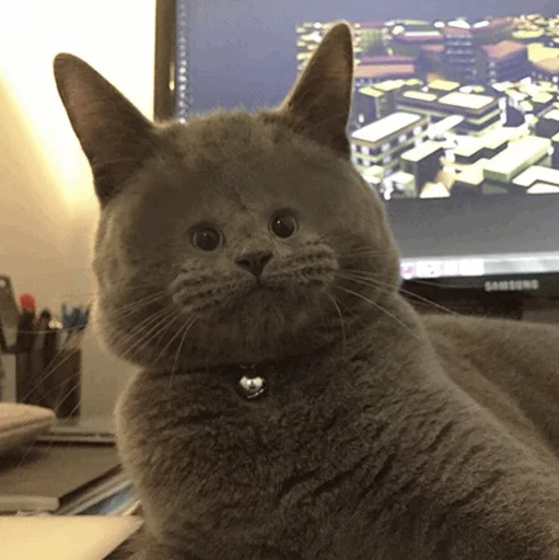 😐 Стикер «Cuteness Overload» для Telegram