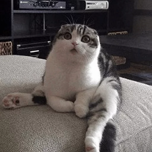 😧 Стикер «Cuteness Overload» для Telegram