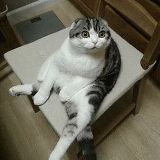 😧 Стикер «Cuteness Overload» для Telegram