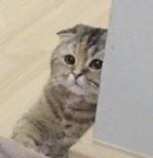 ☹️ Стикер «Cuteness Overload» для Telegram