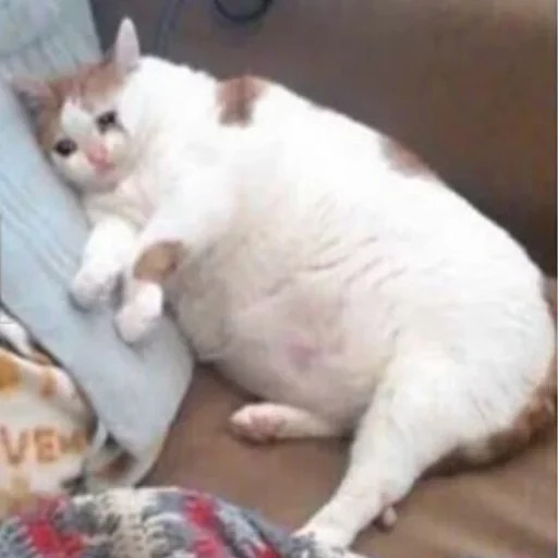 😢 Стикер «Cuteness Overload» для Telegram