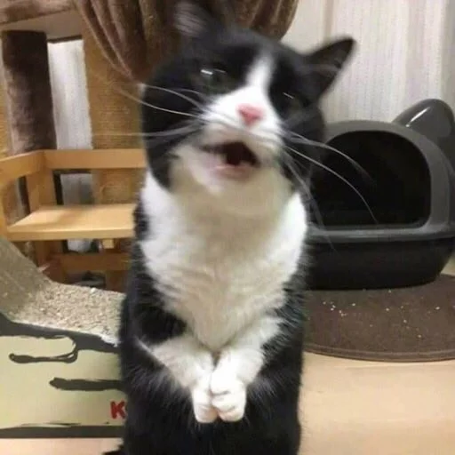 😰 Стикер «Cuteness Overload» для Telegram
